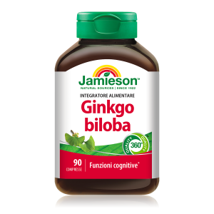 GINKGO BILOBA 90 cpr