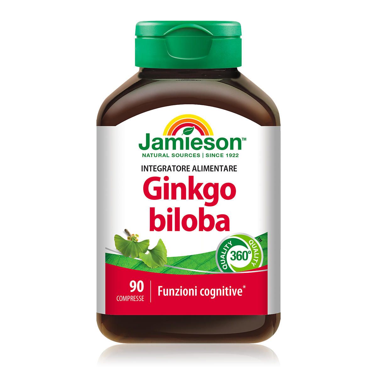 GINKGO BILOBA 90 cpr