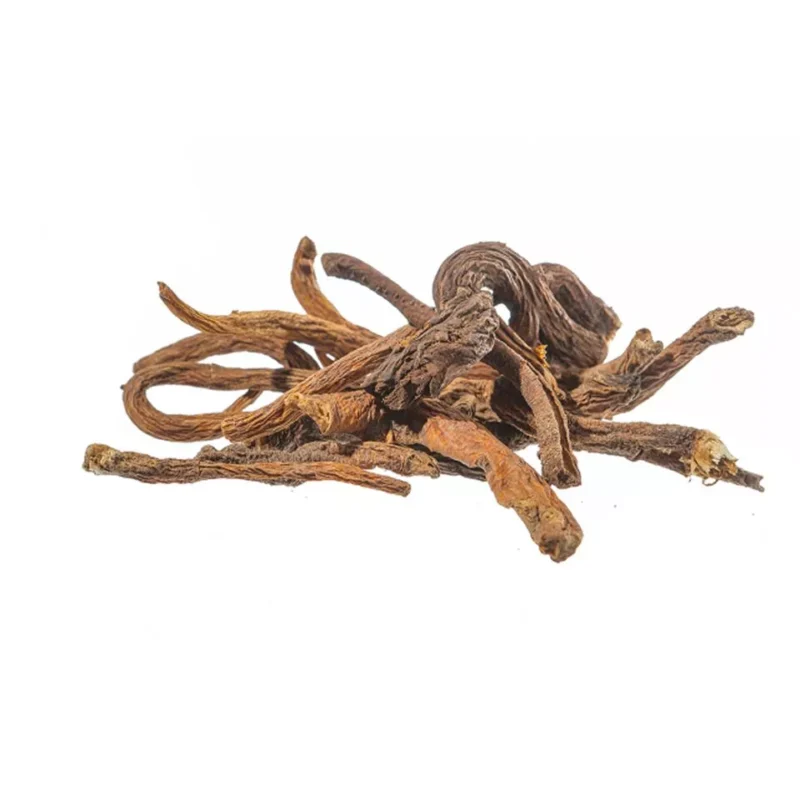 Genziana Radice Extra Intera