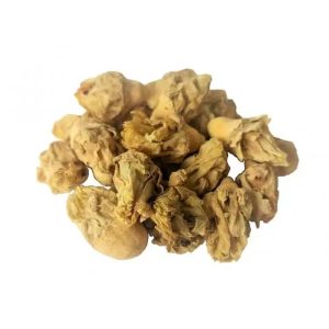 Fichi d’India Fiori